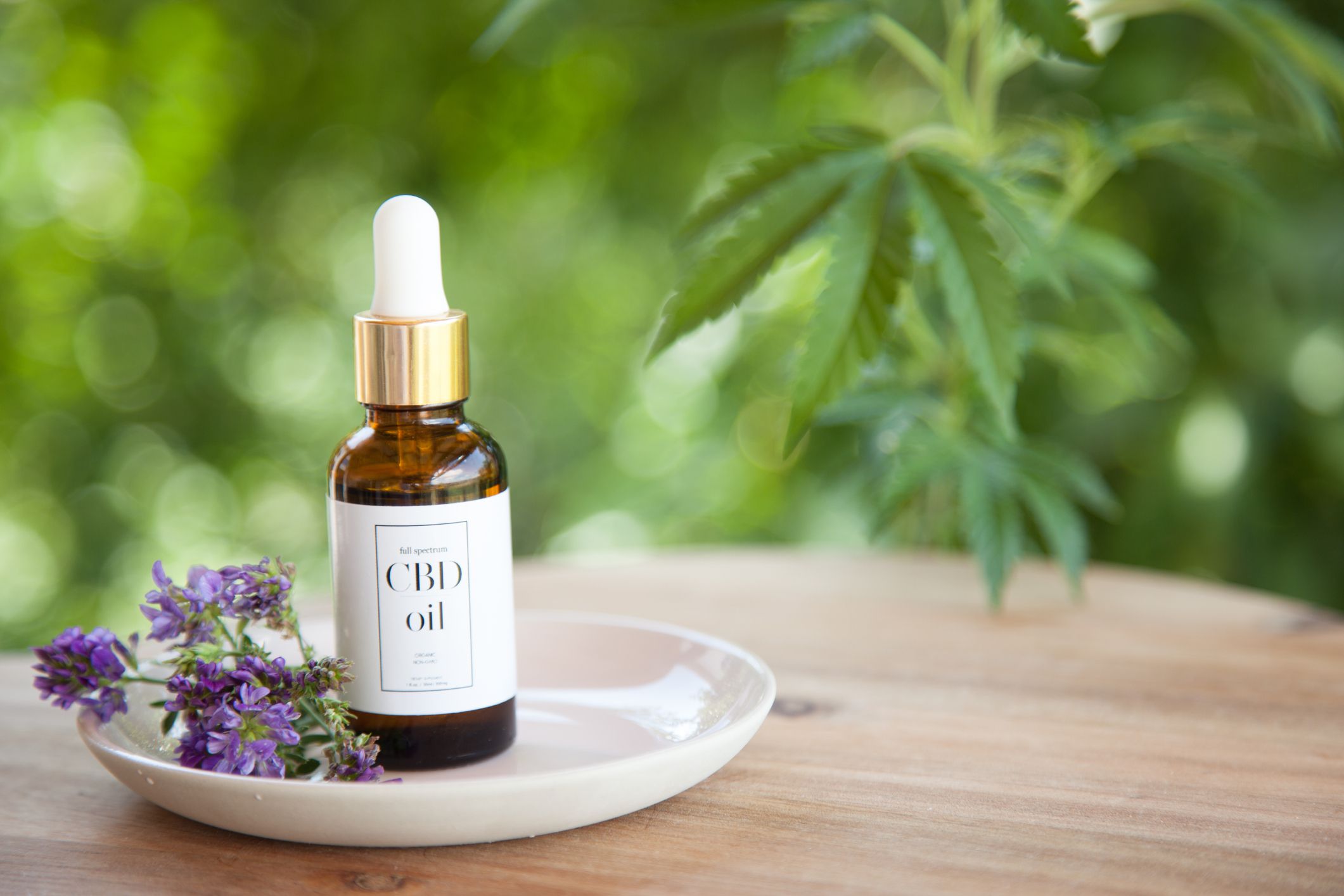 Everything To Know About CBD Oil For Sale