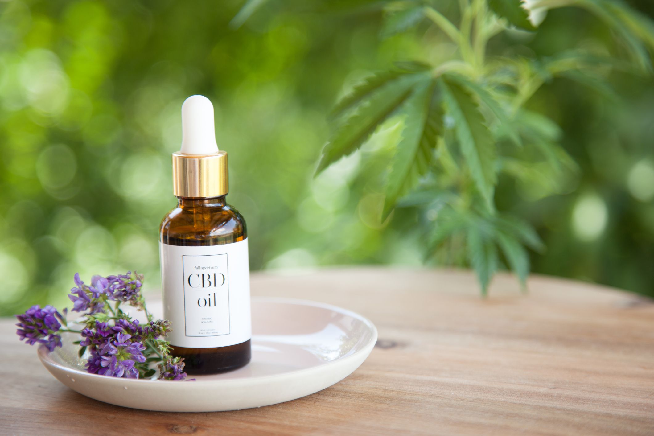 CBD Oil For Sale