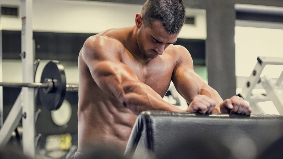 What are the Benefits of Muscle Building Supplements?